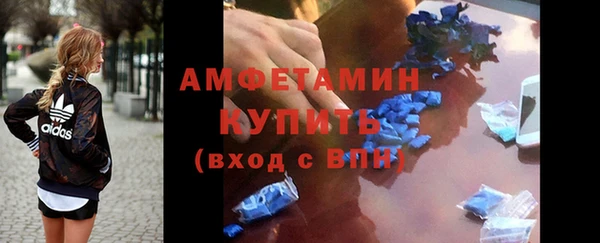 гидра Покачи
