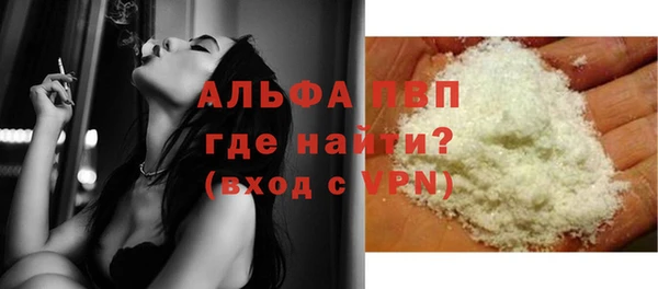 гидра Покачи