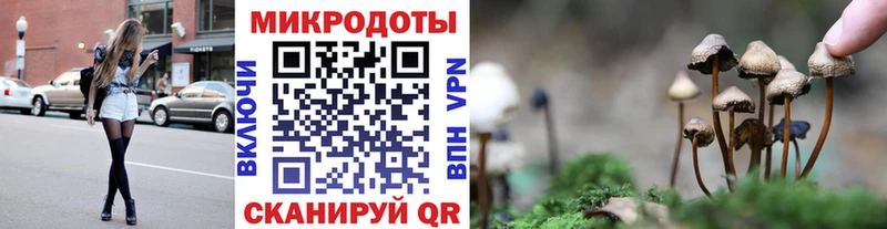 как найти наркотики  Зеленодольск  Галлюциногенные грибы мухоморы 